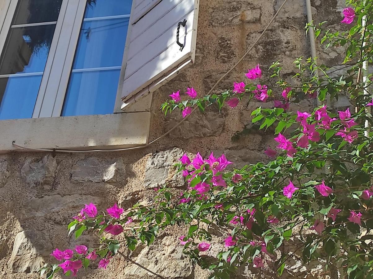 Guesthouse Bogdanovic ブドヴァ エクステリア 写真